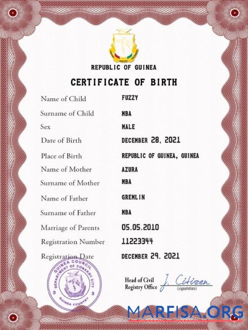 Downloadable Guinea vital record birth certificate PSD template